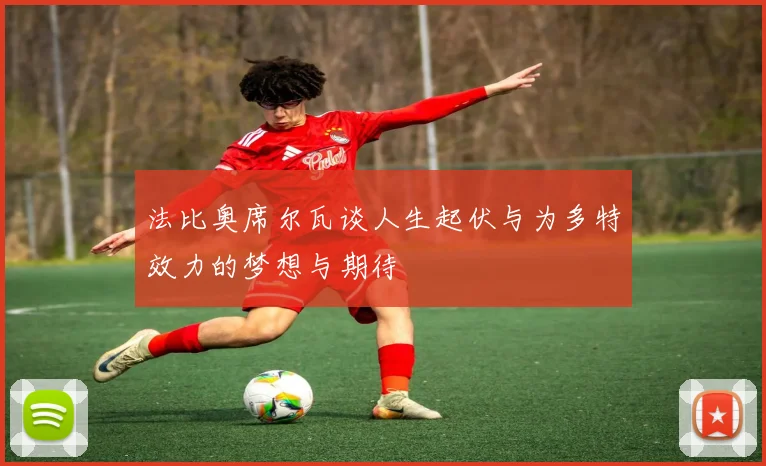 法比奥席尔瓦谈人生起伏与为多特效力的梦想与期待