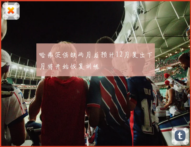哈弗茨伤缺两月后预计12月复出下月将开始恢复训练