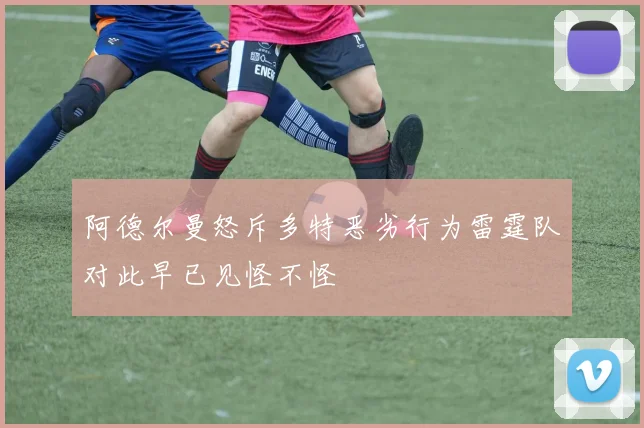 阿德尔曼怒斥多特恶劣行为雷霆队对此早已见怪不怪