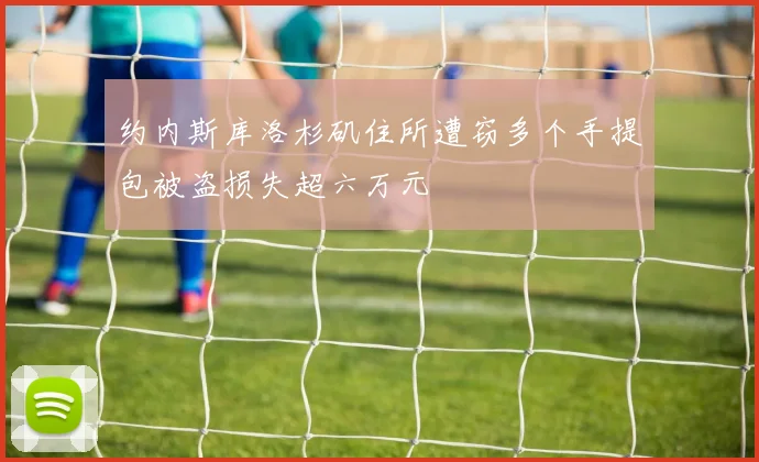 约内斯库洛杉矶住所遭窃多个手提包被盗损失超六万元