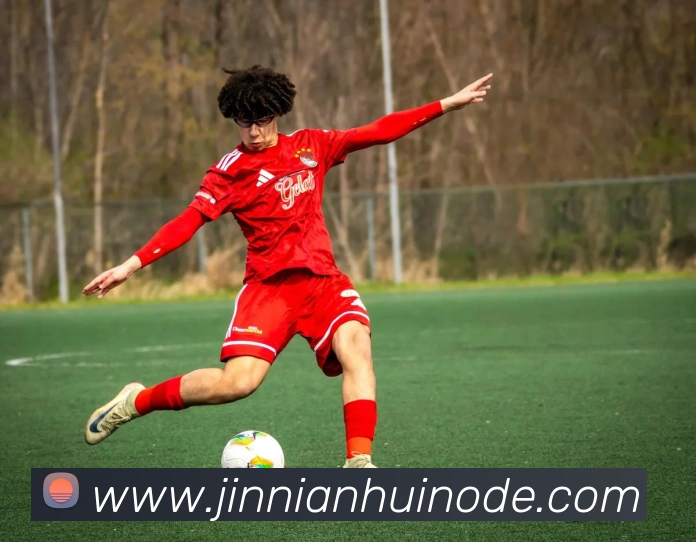 App Interface Preview